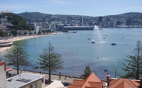 Oriental Bay At Its Best